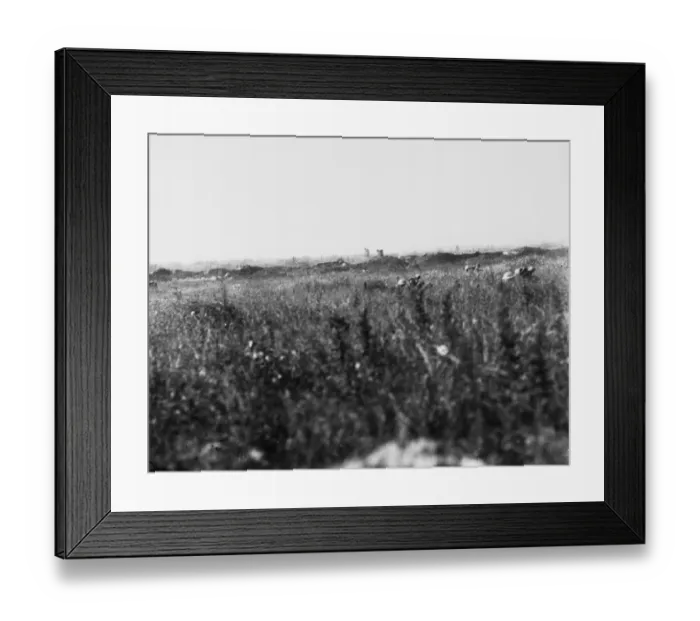 Framed Print : La Boisselle 1916 Framed Print : La Boisselle 1916