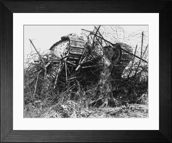 Framed Print : Tank in barbed wire 1917 Framed Print : Tank in barbed wire 1917