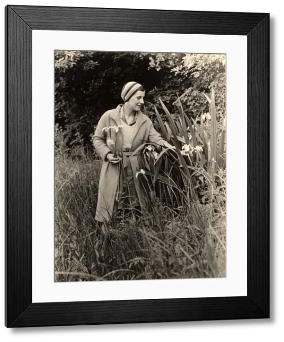 Framed Print : Picking flowers in the 1930s Framed Print : Picking flowers in the 1930s
