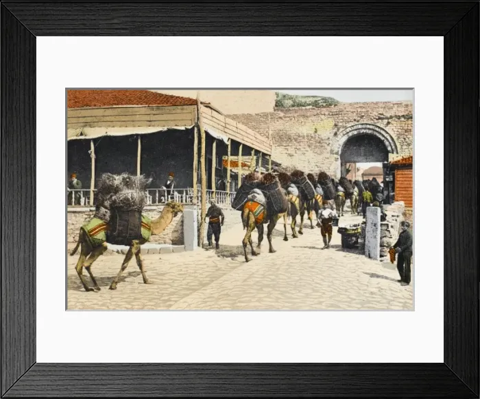 Framed Print : A camel train - Constantinople Framed Print : A camel train - Constantinople