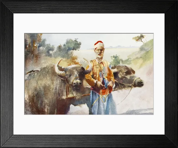 Framed Print : Farmer with Water Buffalo - Turkey Framed Print : Farmer with Water Buffalo - Turkey