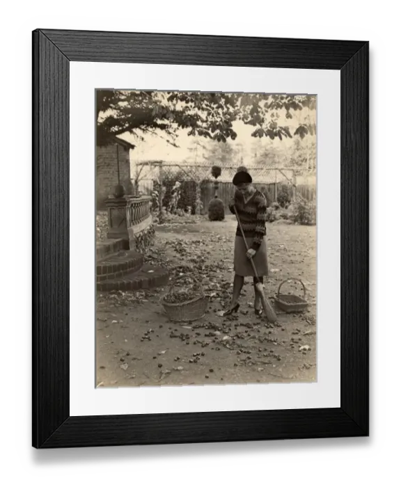 Framed Print : Collecting horse chestnuts Framed Print : Collecting horse chestnuts
