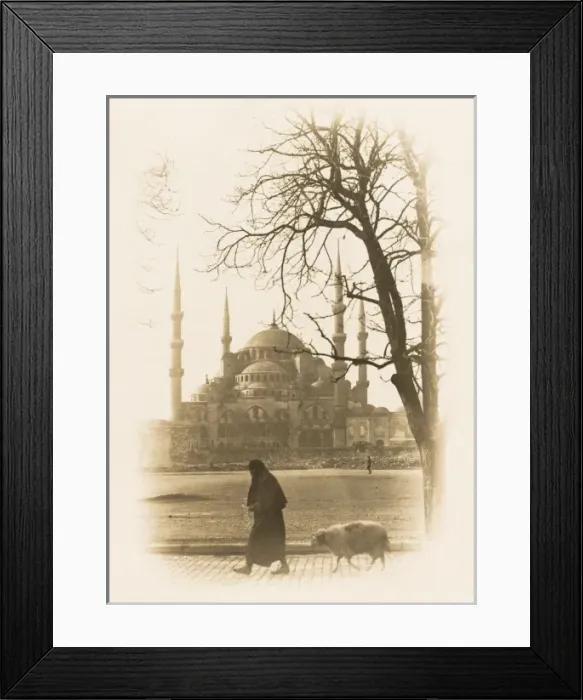 Framed Print : Lady leads her sheep to Market - Constantinople Framed Print : Lady leads her sheep to Market - Constantinople