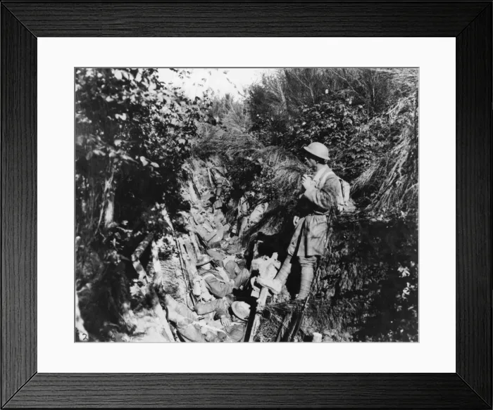 Framed Print : Argonne 1917 Framed Print : Argonne 1917