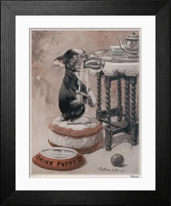 Framed Print : You Simply Must Save Water by George Studdy Framed Print : You Simply Must Save Water by George Studdy