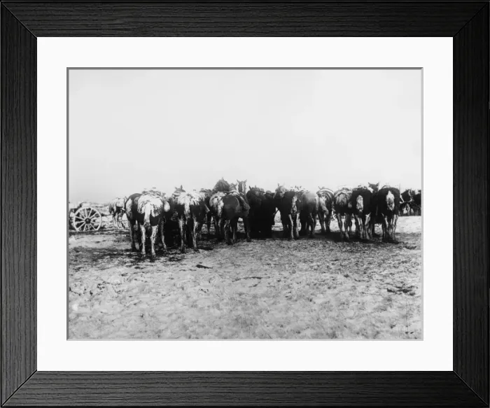Framed Print : Arras 1917 Framed Print : Arras 1917