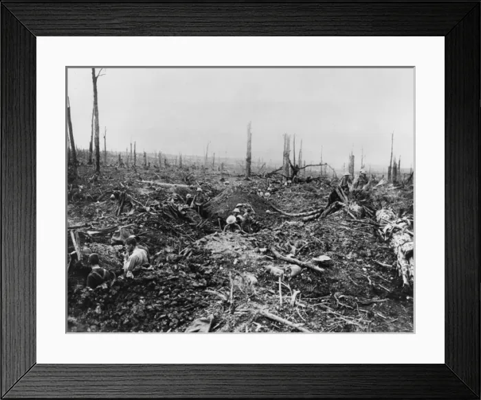 Framed Print : Delville Wood 1916 Framed Print : Delville Wood 1916