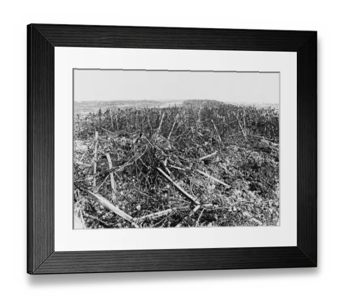 Framed Print : Battles of Arras 1917 Framed Print : Battles of Arras 1917