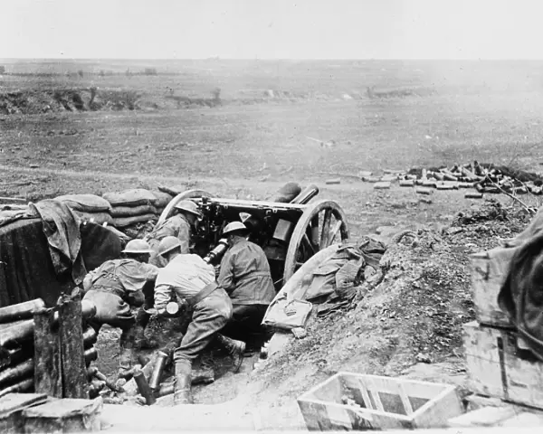 Second Battle of Bullecourt 1917