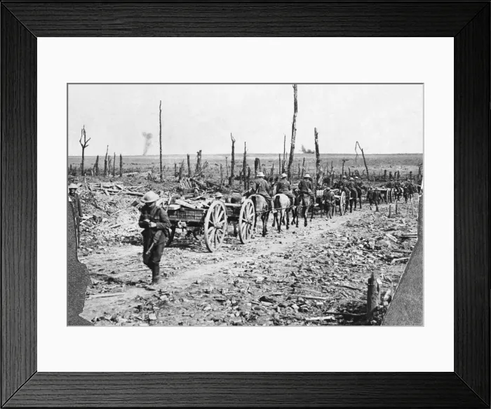 Framed Print : Somme 1916 Framed Print : Somme 1916