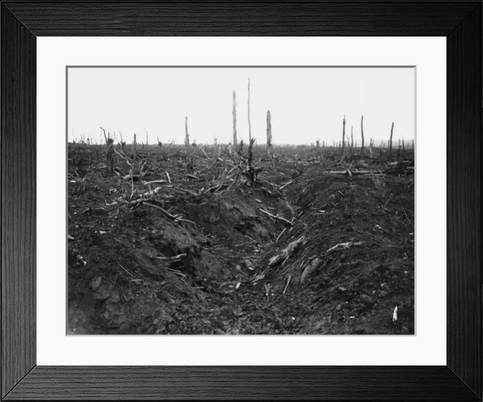 Framed Print : Delville Wood 1916 Framed Print : Delville Wood 1916