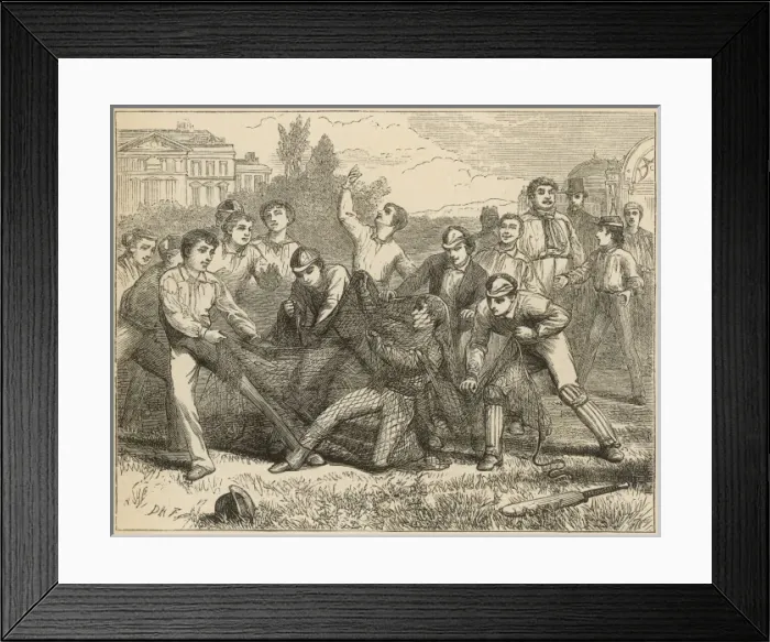 Framed Print : Cricket under Difficulties Framed Print : Cricket under Difficulties