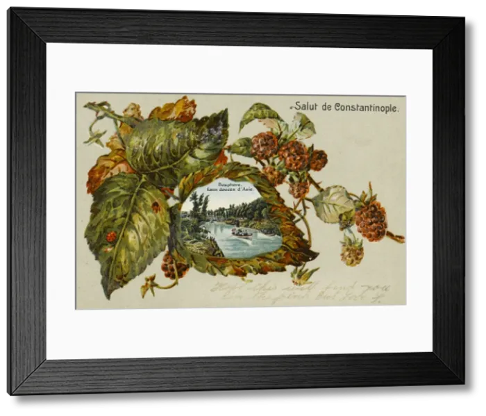 Framed Print : The Sweet Waters of Asia Minor, Constantinople Framed Print : The Sweet Waters of Asia Minor, Constantinople