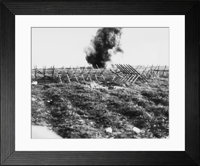 Framed Print : Blairville Wood 1916 Framed Print : Blairville Wood 1916