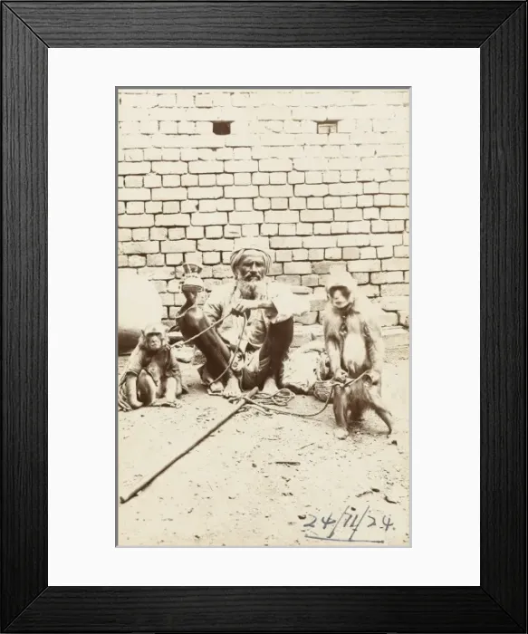 Framed Print : Indian Street Entertainer with two monkeys Framed Print : Indian Street Entertainer with two monkeys