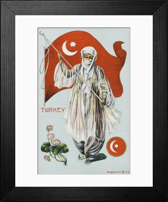 Framed Print : Patriotic pro-Turkish card Framed Print : Patriotic pro-Turkish card