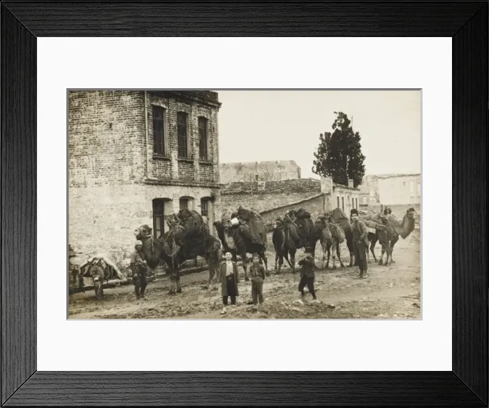 Framed Print : Camel Train and Owner - Chanak, Turkey Framed Print : Camel Train and Owner - Chanak, Turkey