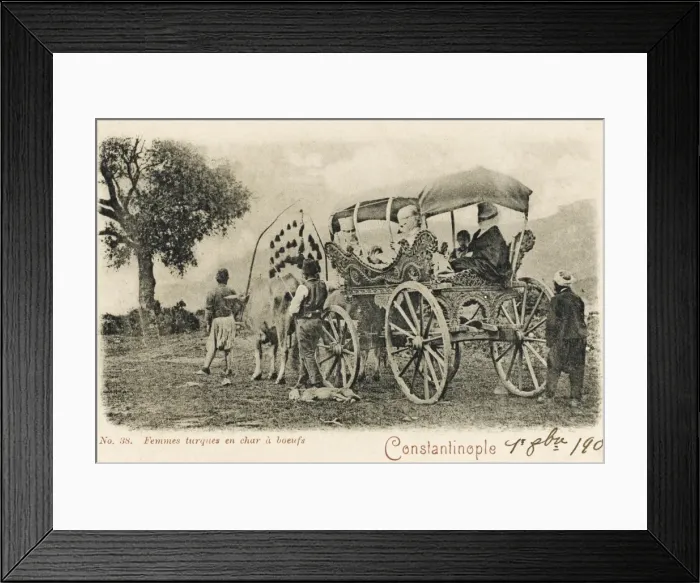 Framed Print : Turkish Woman in their wagon Framed Print : Turkish Woman in their wagon