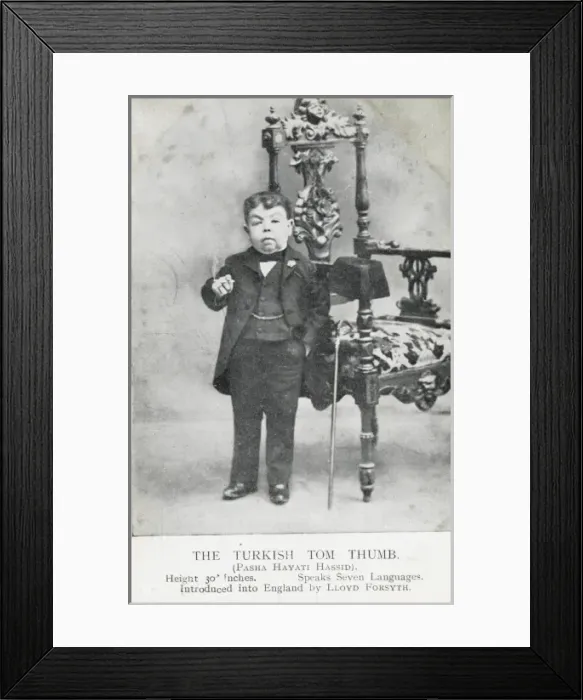 Framed Print : The Turkish Tom Thumb Framed Print : The Turkish Tom Thumb