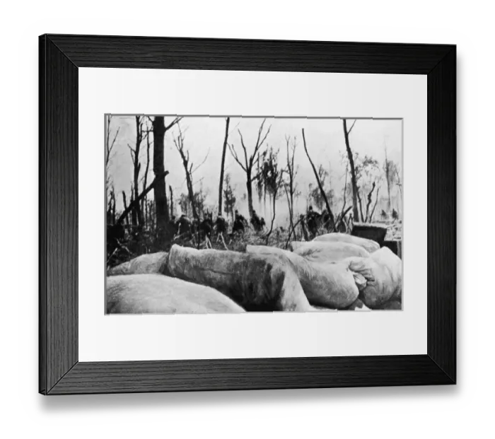 Framed Print : French Front 1915 Framed Print : French Front 1915