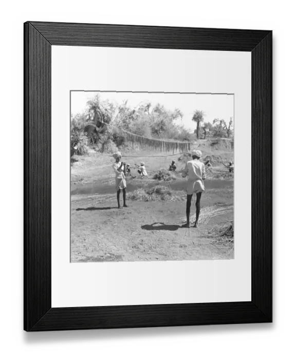 Framed Print : Farming activities in Madhya Pradesh, Central India Framed Print : Farming activities in Madhya Pradesh, Central India