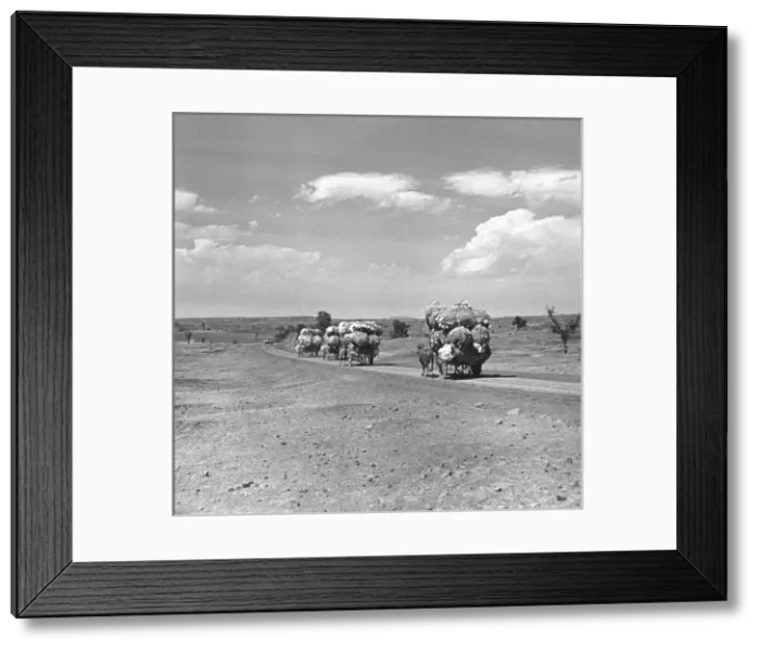 Framed Print : Transporting goods in Madhya Pradesh, Central India Framed Print : Transporting goods in Madhya Pradesh, Central India