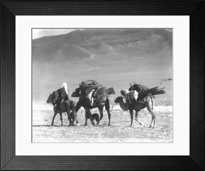 Framed Print : Two camels and a horse, Kashgar, western China Framed Print : Two camels and a horse, Kashgar, western China