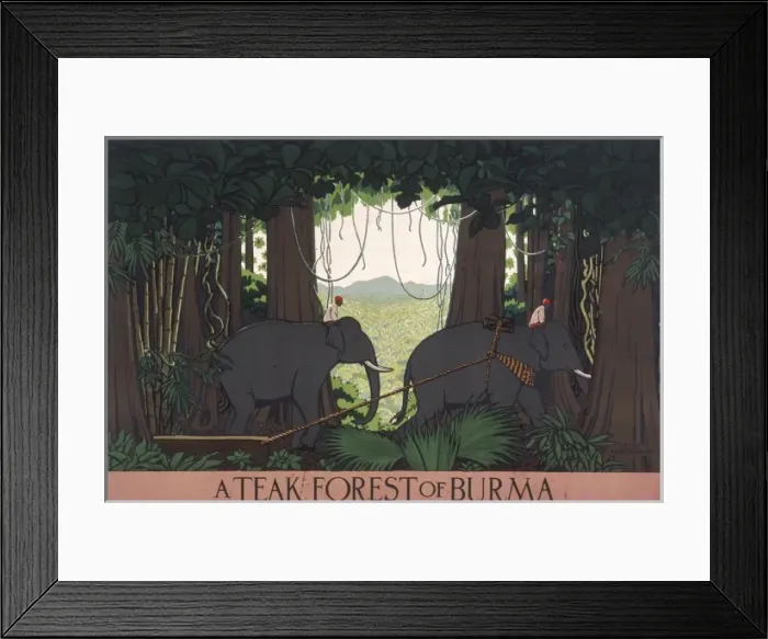 Framed Print : Poster depicting a teak forest in Burma Framed Print : Poster depicting a teak forest in Burma