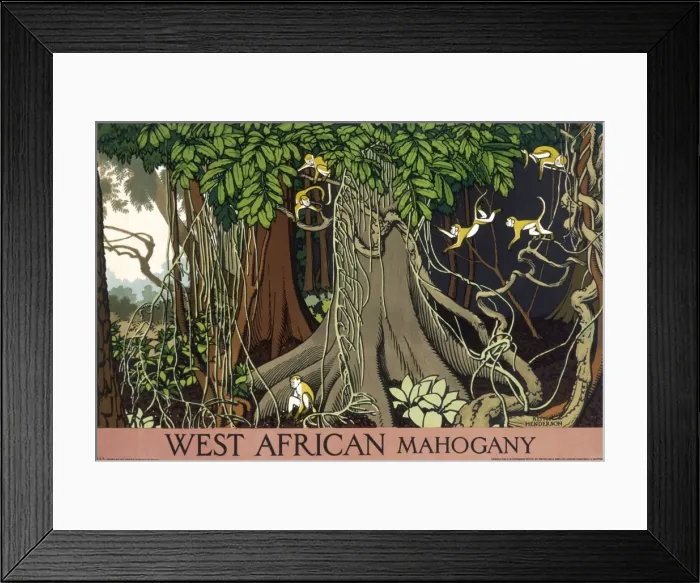 Framed Print : Poster depicting West African mahogany Framed Print : Poster depicting West African mahogany