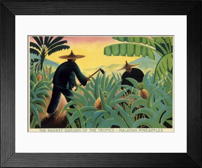 Framed Print : Poster depicting Malayan pineapples Framed Print : Poster depicting Malayan pineapples