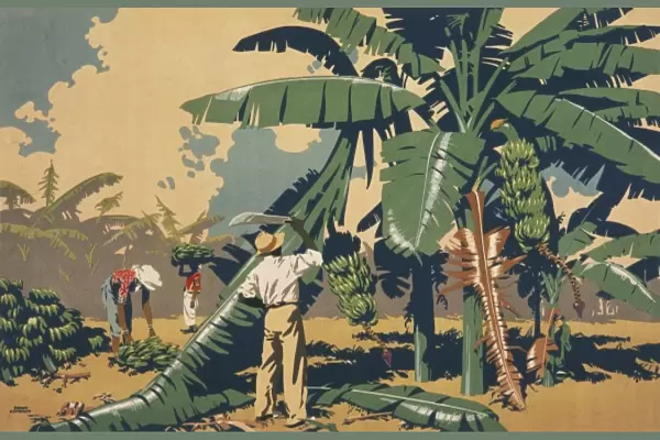 Poster depicting people cutting bananas in Jamaica