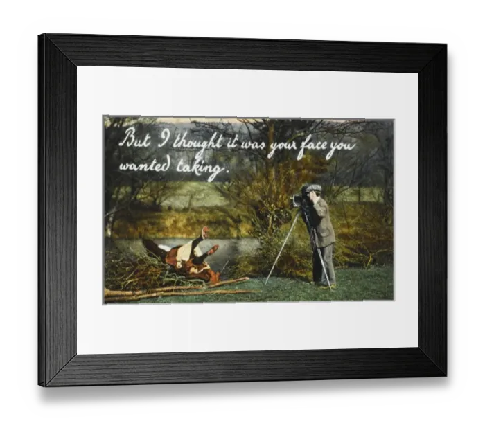 Framed Print : Humourous photographer card Framed Print : Humourous photographer card