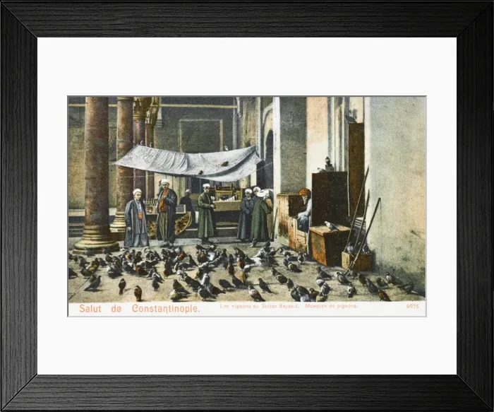 Framed Print : The Beyazidiye Mosque with pigeons, Constantinople Framed Print : The Beyazidiye Mosque with pigeons, Constantinople