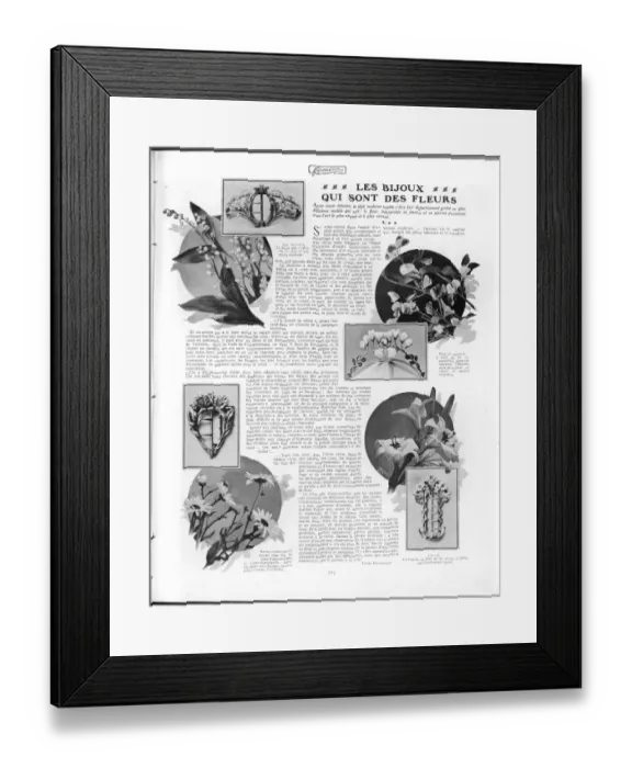 Framed Print : Flower jewels Framed Print : Flower jewels