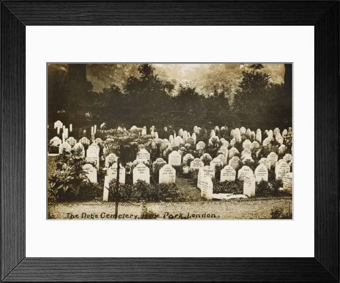 Framed Print : The Dog Cemetery - Hyde Park, London Framed Print : The Dog Cemetery - Hyde Park, London