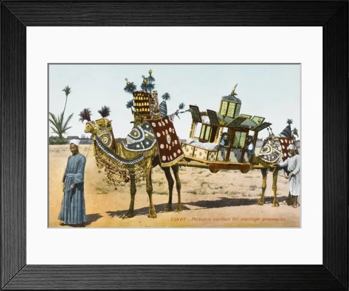 Framed Print : Egypt - Marriage Pavilion carried by camels