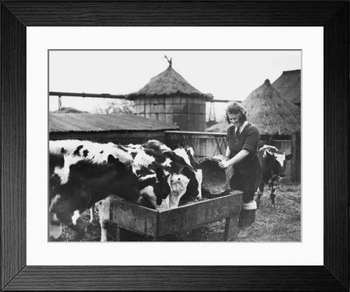 Framed Print : Land Girls WWII Framed Print : Land Girls WWII