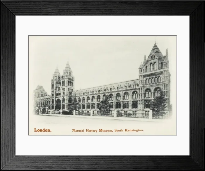 Framed Print : Natural History Museum, South Kensington, London Framed Print : Natural History Museum, South Kensington, London