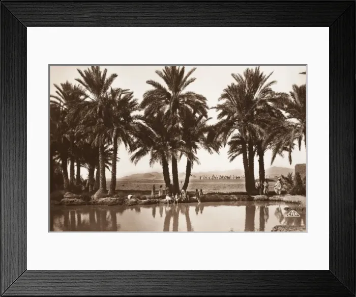 Framed Print : Algerian Oasis - Biskra Framed Print : Algerian Oasis - Biskra