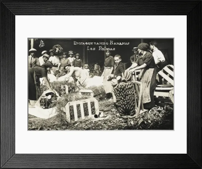 Framed Print : Packing Bananas - Las Palmas - Gran Canaria Framed Print : Packing Bananas - Las Palmas - Gran Canaria