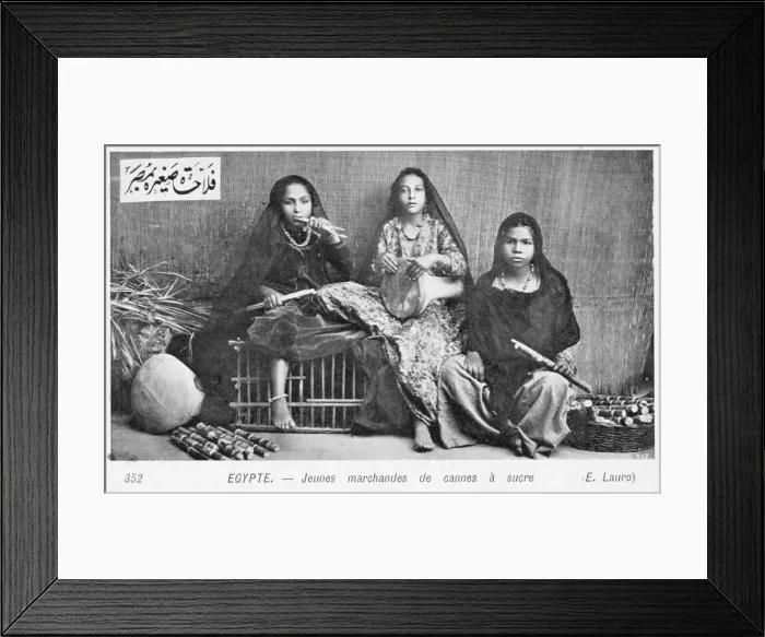 Framed Print : Young sugar cane vendors - Alexandria, Egypt Framed Print : Young sugar cane vendors - Alexandria, Egypt