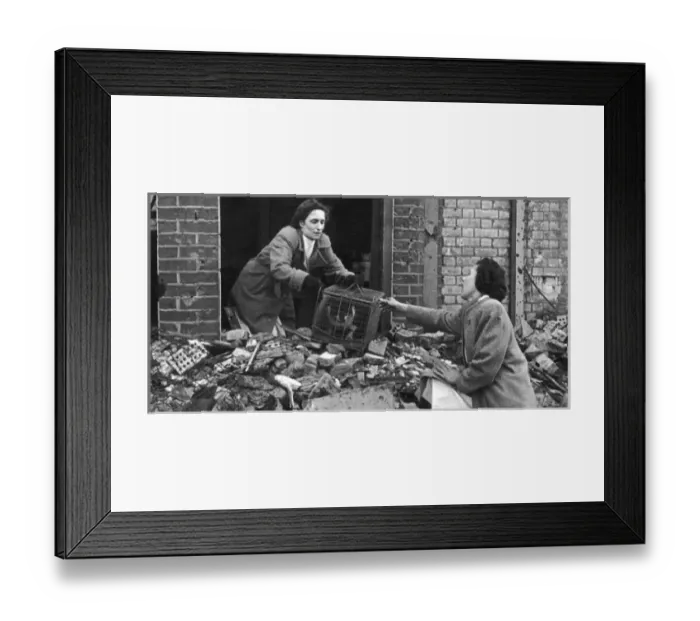 Framed Print : Animal rescue squad WWII Framed Print : Animal rescue squad WWII