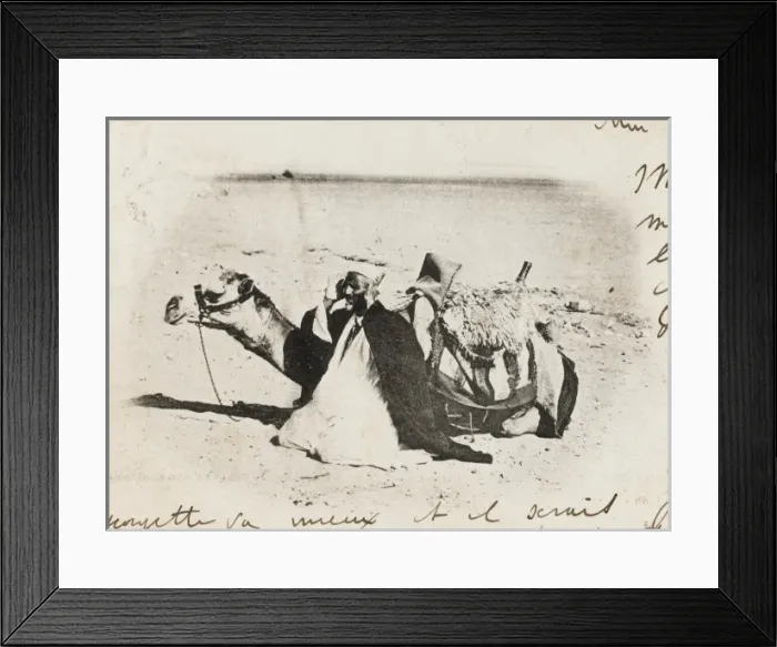 Framed Print : An Algerian Man prays alongside his camel Framed Print : An Algerian Man prays alongside his camel