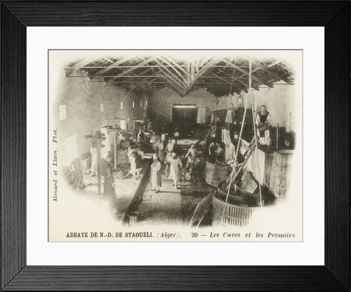 Framed Print : Algiers - Grape Pressing by monks Framed Print : Algiers - Grape Pressing by monks