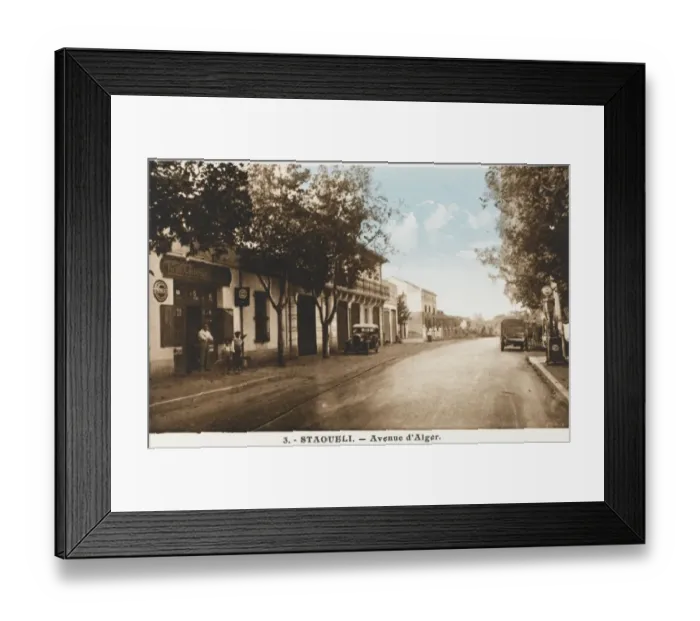 Framed Print : Algeria - Staoueli - Avenue d Alger Framed Print : Algeria - Staoueli - Avenue d Alger