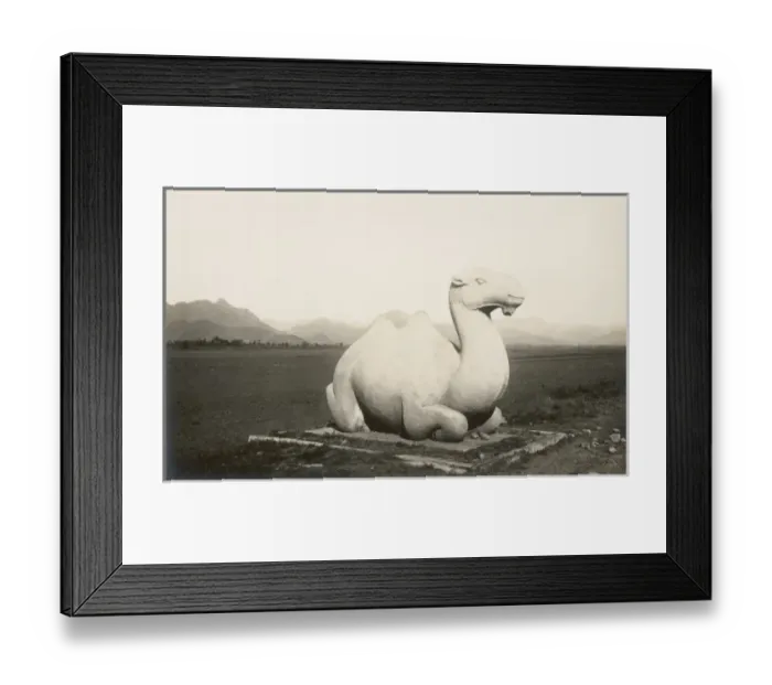 Framed Print : China - Summer Palace Framed Print : China - Summer Palace