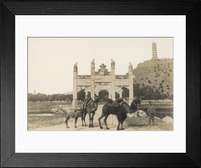 Framed Print : China - Summer Palace Framed Print : China - Summer Palace