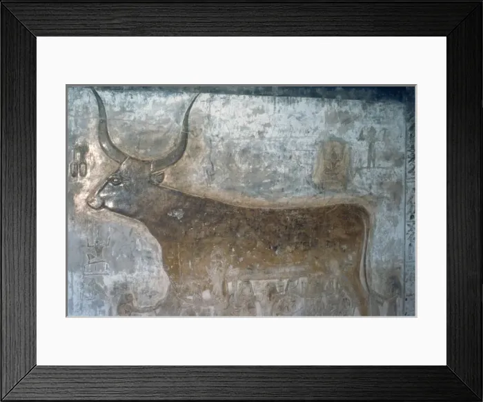Framed Print : Valley of the Kings, Tomb of Seti I Framed Print : Valley of the Kings, Tomb of Seti I