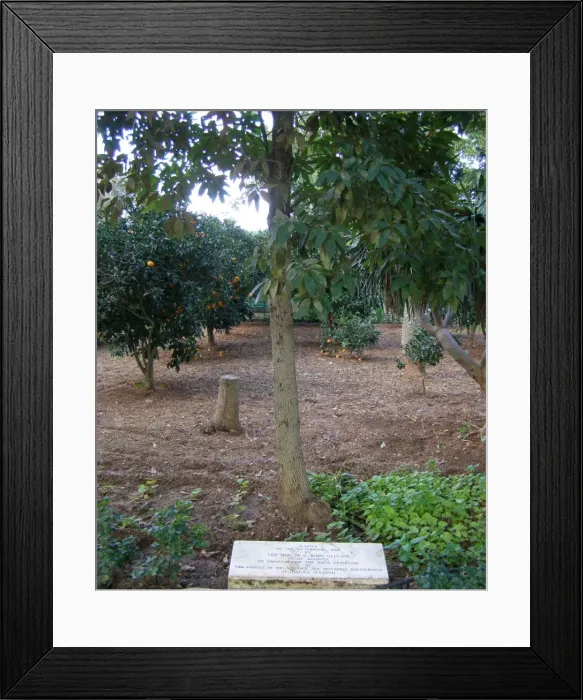 Framed Print : Memorial of Gandhis Birth, Balzan, Malta Framed Print : Memorial of Gandhis Birth, Balzan, Malta