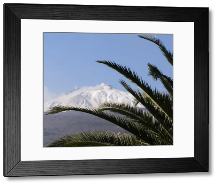 Framed Print : Mount Etna, with palm fronds, Sicily, Italy Framed Print : Mount Etna, with palm fronds, Sicily, Italy